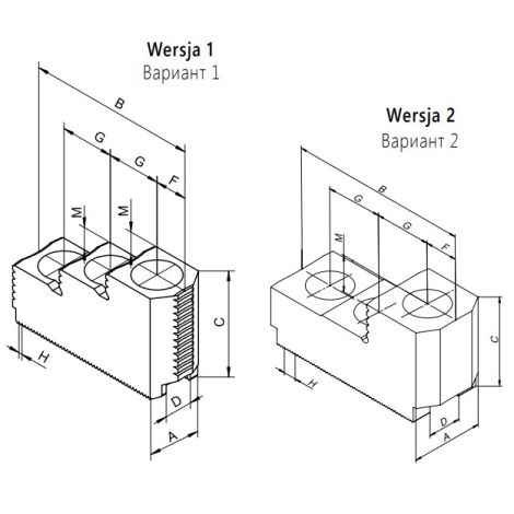 Szczęki górne twarde do uchwytu 2405-K typ SGT 2405-200-52K Bison kod: 398521711000 - 2